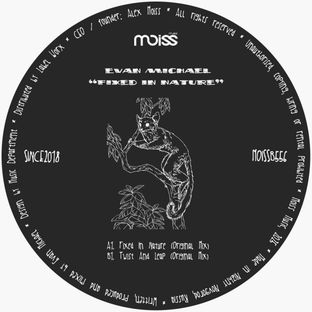 Artwork for "Fixed In Nature"