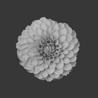 Artwork for "One Day (Incl. Ocean Lam Remix)"