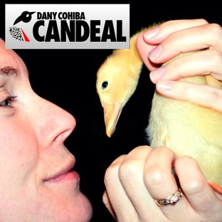 Artwork for "Candeal"