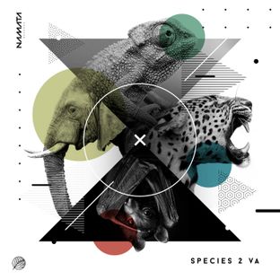 Artwork for "Species 2"
