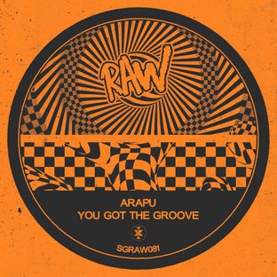 Artwork for "You Got The Groove"