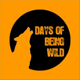 Artwork for "Leipzig Motorbike"