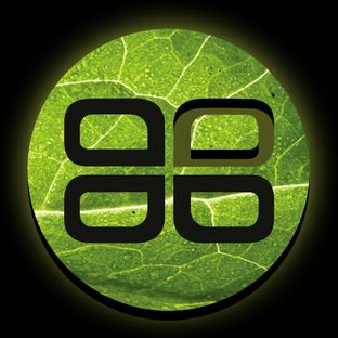 Artwork for "San Francisco Murderer"