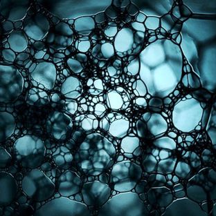 Artwork for "Chinese Shuffle EP"