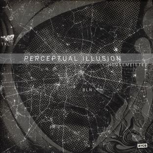 Artwork for "Perceptual Illusion"