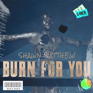 Artwork for "Burn for You"