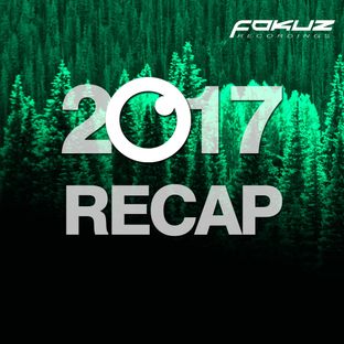 Artwork for "Fokuz Recordings - 2017 Recap"