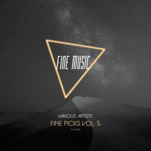 Artwork for "Fine Picks, Vol. 5"