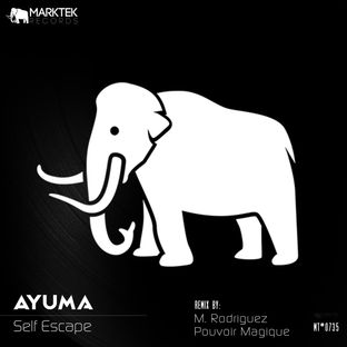 Artwork for "Self Escape"