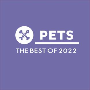 Artwork for "The Best Of Pets 2022"