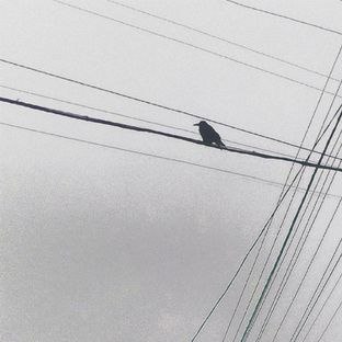 Artwork for "Dementor"