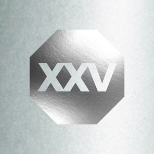 Artwork for "Defected XXV"