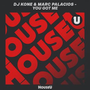 Artwork for "You Got Me (Extended Mix)"