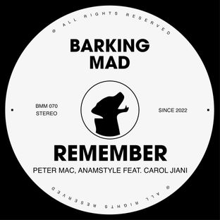 Artwork for "Remember"