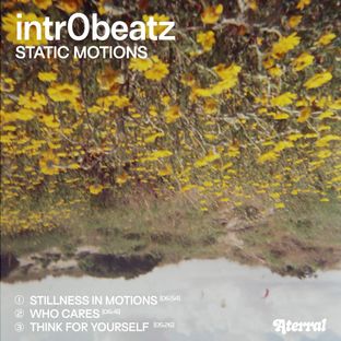 Artwork for "Static Motions"