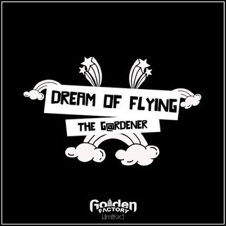 Dream of Flying