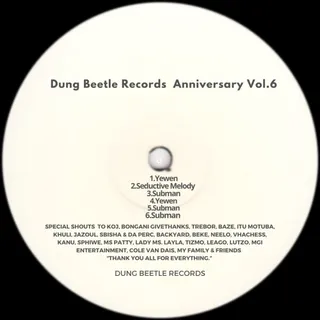 Dung Beetle Records Anniversary, Vol. 6
