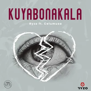 Kuyabonakala