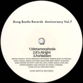 Dung Beetle Records Anniversary, Vol. 7