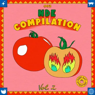 NDE Compilation 002 Vol.2