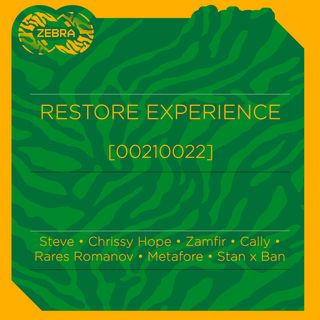 Restore Experience [00210022]