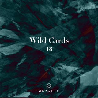 Wild Cards 18