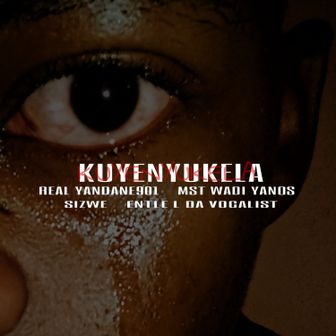 Play Kuyenyukela