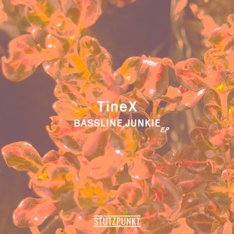 Play Bassline Junkie EP