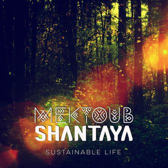 Play Sustainable Life