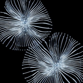 Speel "This Feeling" af