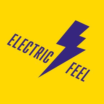 Play Electric Feel