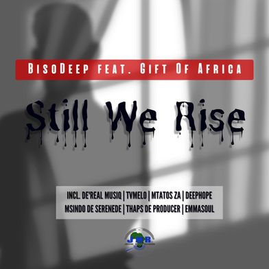 Still We Rise