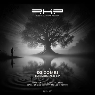 Harmonized (Dmitry Molosh Remix)