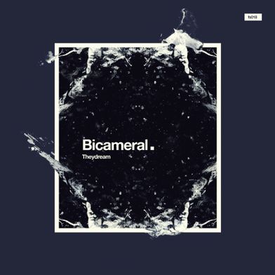 Bicameral