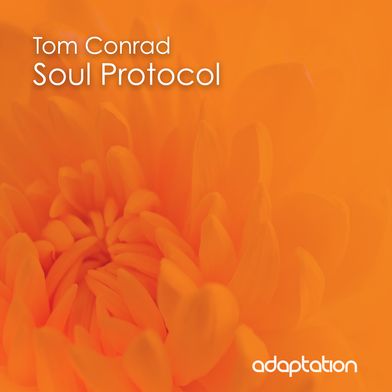 Soul Protocol