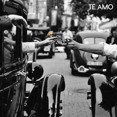 Te Amo