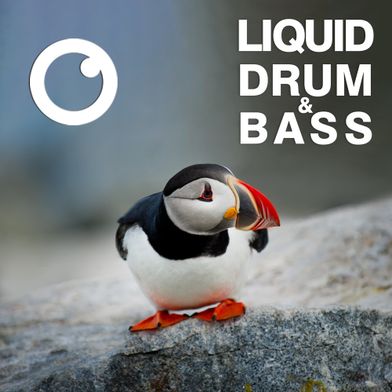 Liquid Drum & Bass Sessions #50