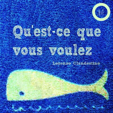 Qu'est-ce que vous voulez