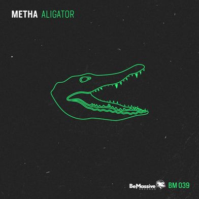 Alligator