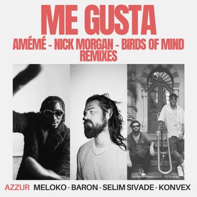 Me Gusta (Birds Of Mind Remix)