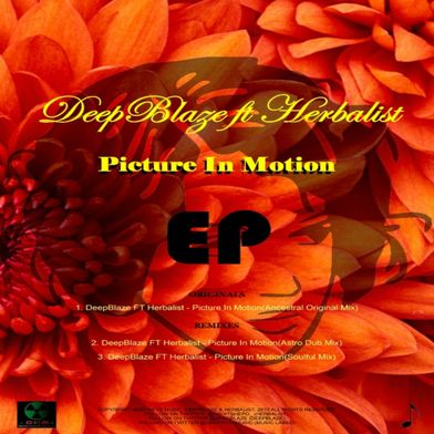 Picture In Motion (feat. Herbalist)