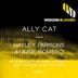 Cover art for "Hayley Parsons, Rosie Romero — Ally Cat (Jimmy Kennedy & Aneesh Gera Mix)"