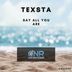 Cover art for "DJ Texsta — Say All You Are (Original mix)"