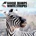 Cover art for "Goose Bumps — White Stripes"