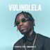 Cover art for "Versatile — Vulindlela feat. Emmanuel N"