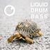 Cover art for Liquid Drum & Bass Sessions #53
