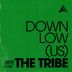 Cover art for "DOWNLow (US) — The Tribe (Extended Mix)"