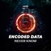 Cover art for "Encoded Data — Never Know"