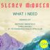 Cover art for "Sleazy McQueen — What I Need (Original Mix)"