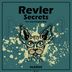 Cover art for "REVLER — Secrets"